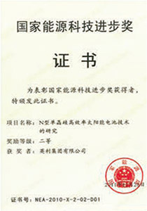 国家能源科技进步奖