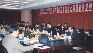 进军光伏领域，是中国最早投身光伏行业的企业之一